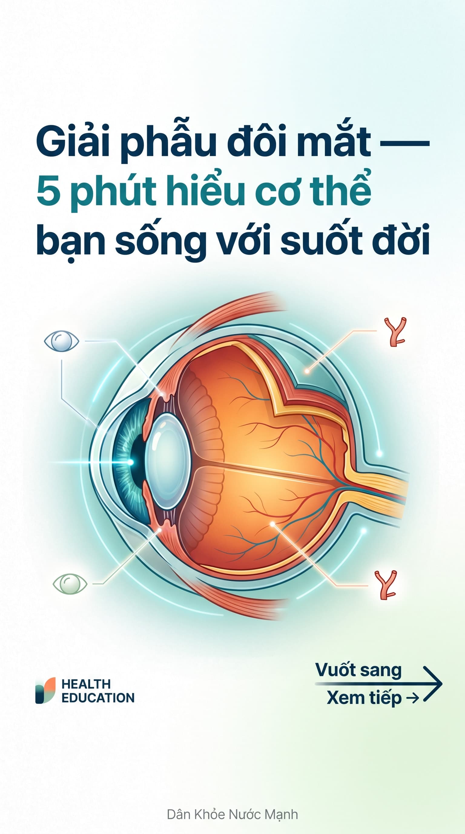 Giải Phẫu Đôi Mắt: Hiểu Về Linh Kiện Quý Giá Nhất Mà Bạn Sở Hữu