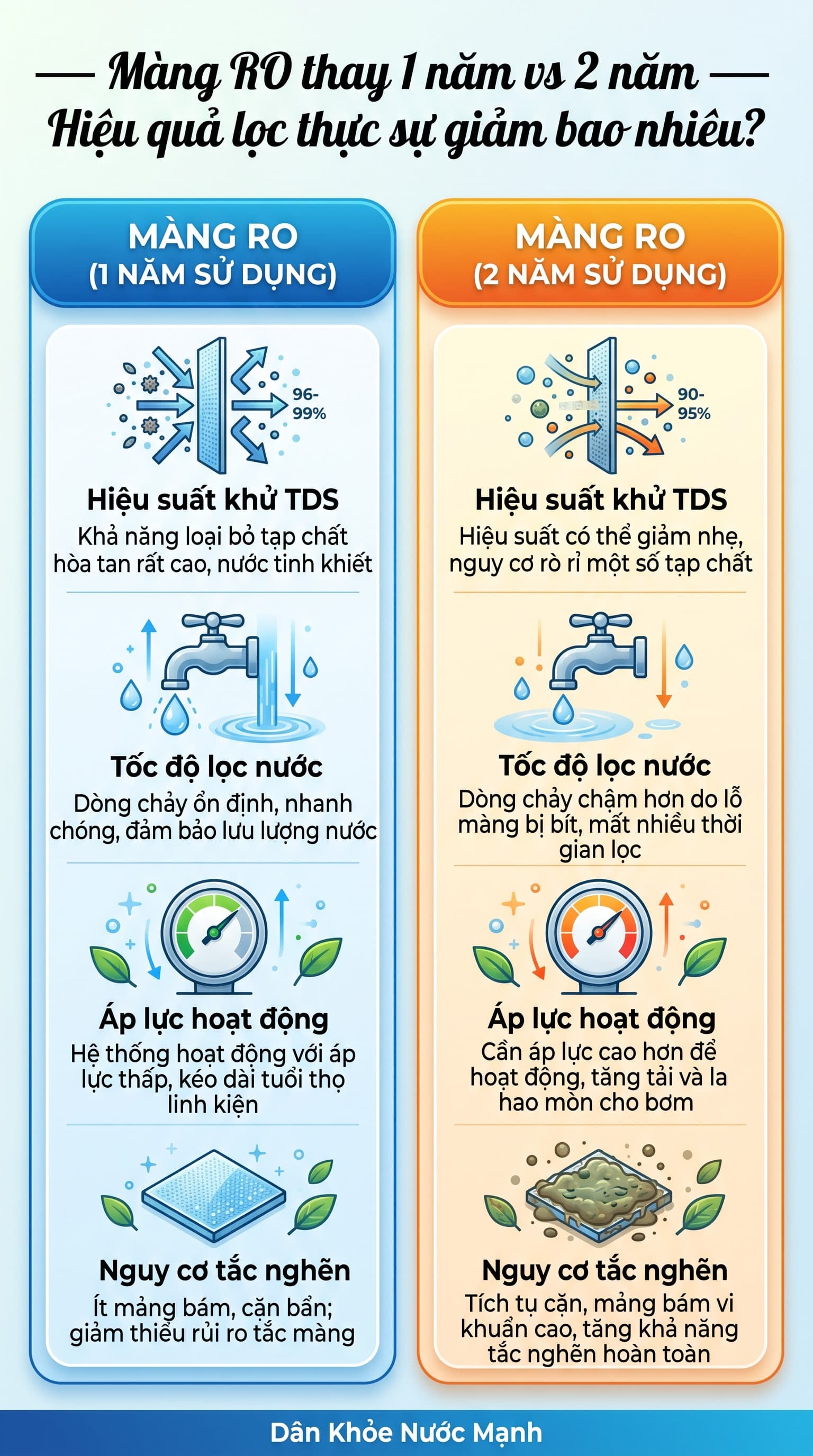 Supplement Theo Độ Tuổi vs Supplement Chung: Hãy Nạp Đúng Thứ Tế Bào Đang Cần