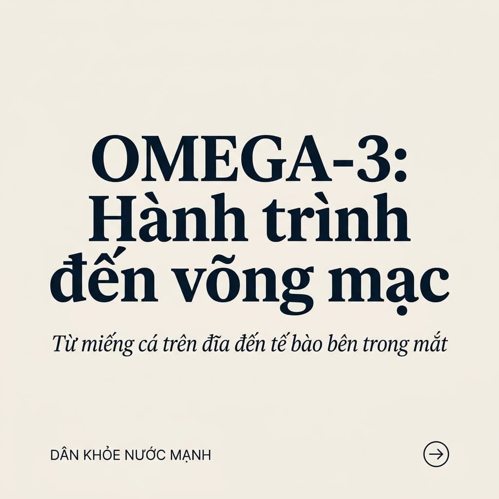 Hành Trình Xuyên Qua Hàng Rào Máu - Võng Mạc: Tại Sao Omega-3 Là Vật Liệu Xây Dựng Thiết Yếu Cho Đôi Mắt?