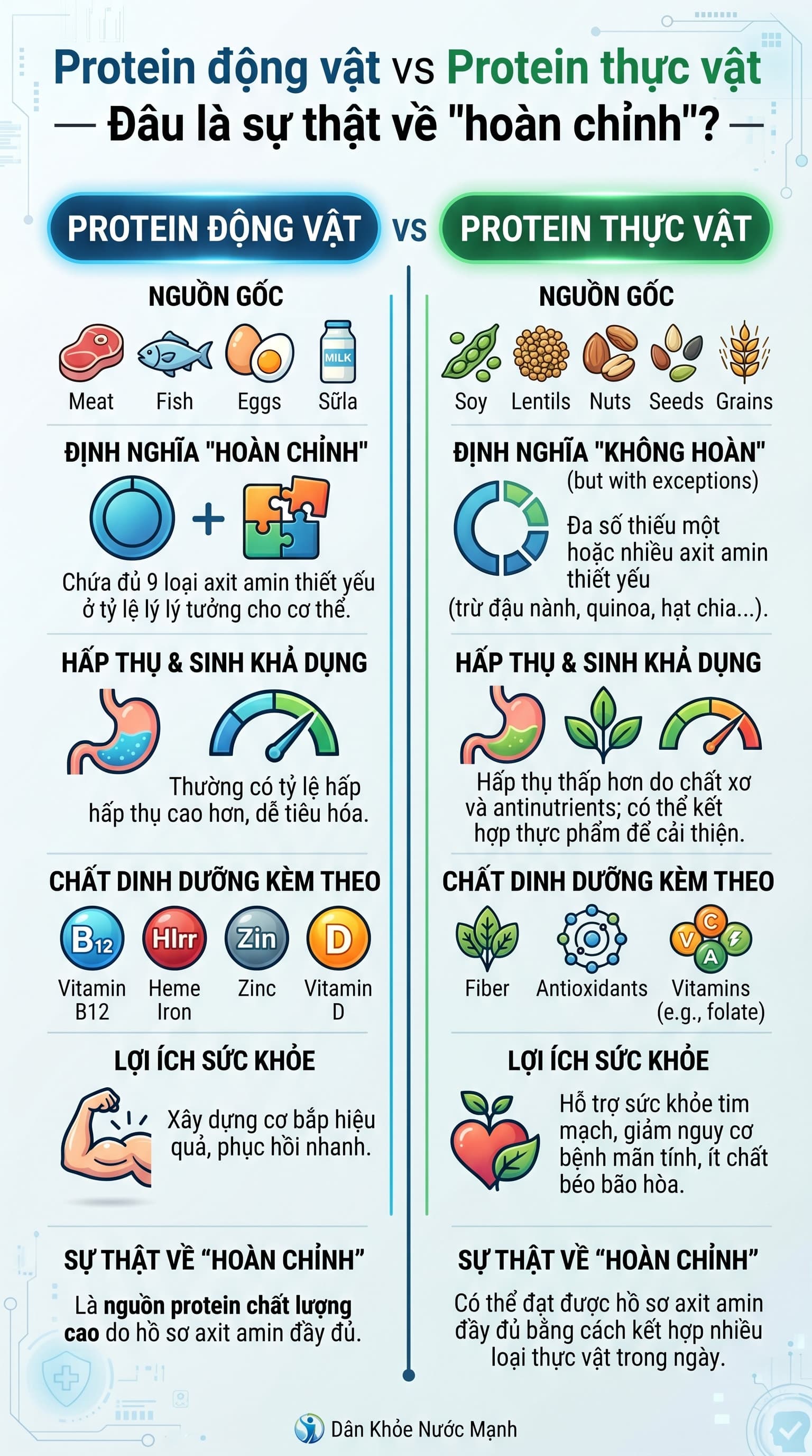 Protein Động Vật vs Thực Vật: Đâu Là Nguồn Xây Dựng Cơ Thể Bền Vững?