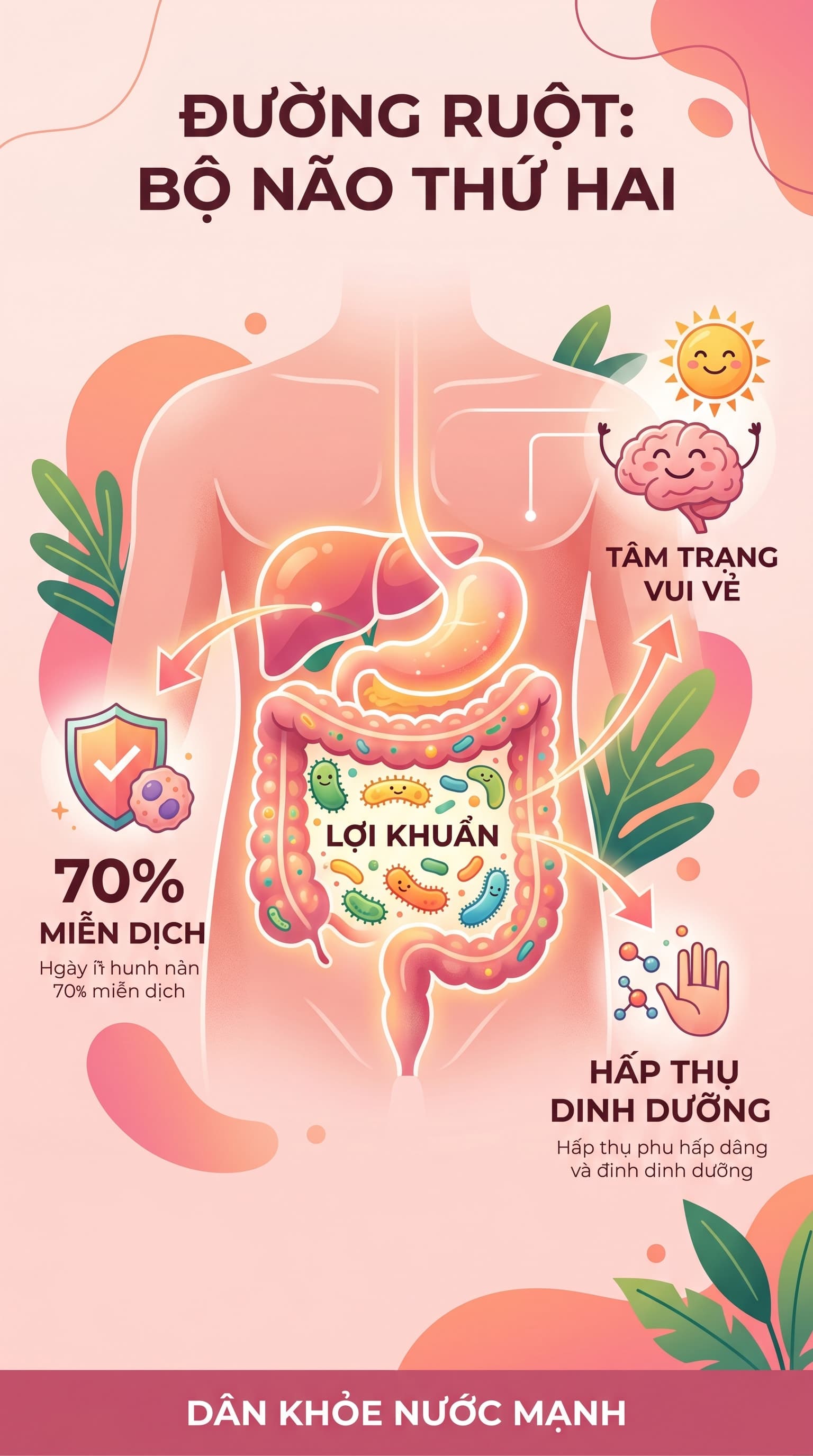 Ruột Khỏe: Tại Sao Đường Ruột Được Gọi Là Bộ Não Thứ Hai Của Cơ Thể?