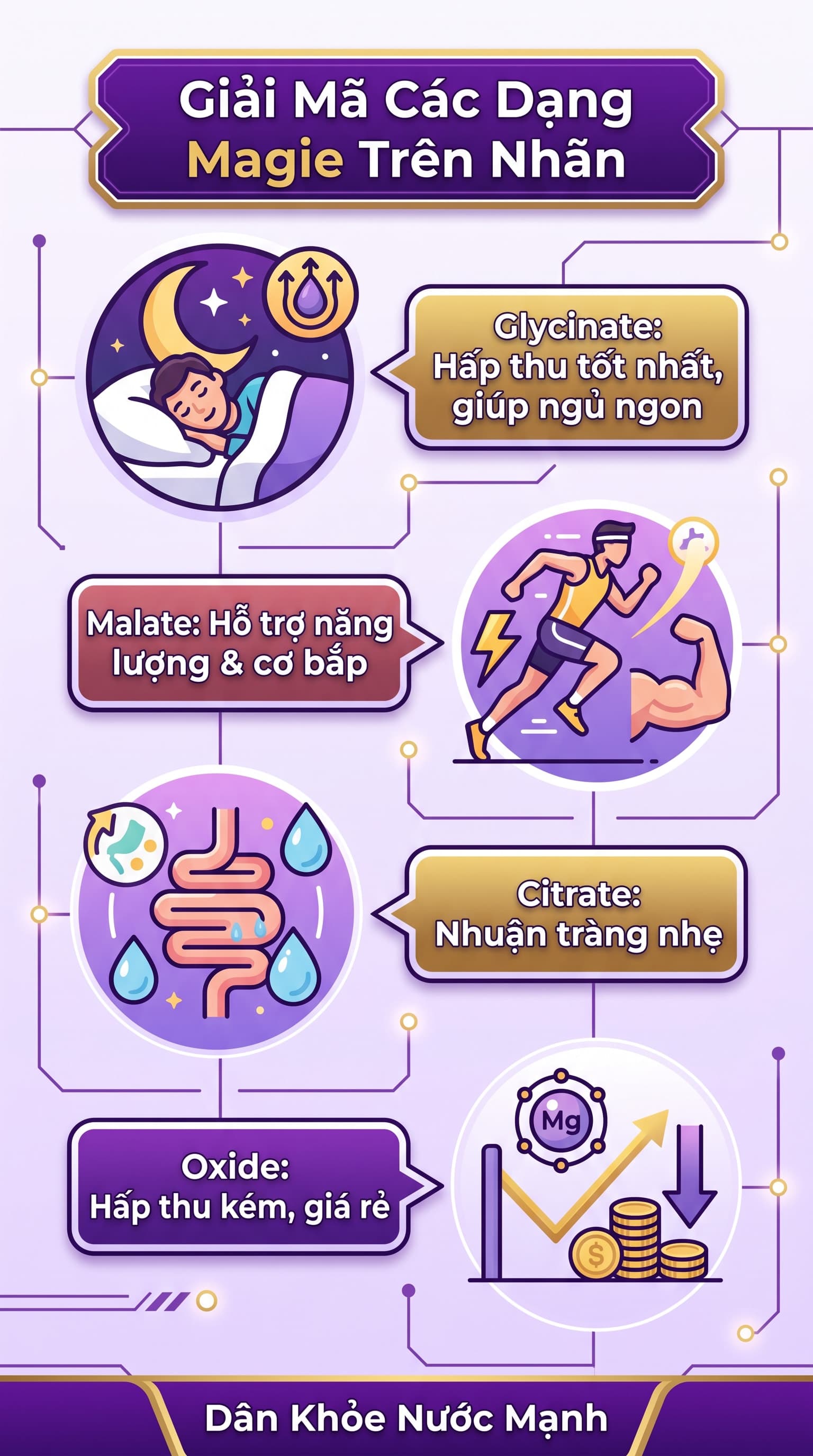 Nhãn Magiê: Chọn Đúng Dạng Bào Chế Để Đạt Mục Tiêu Sức Khỏe