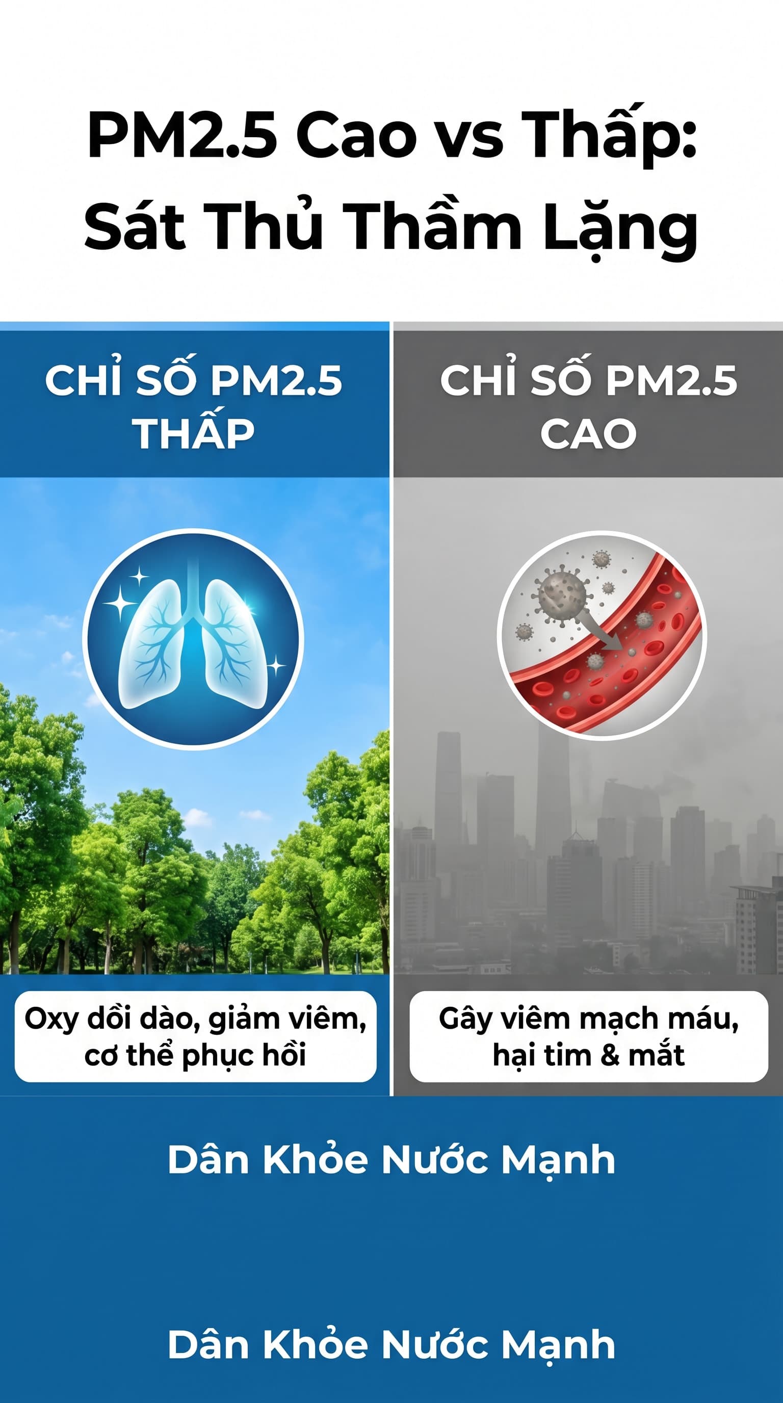 PM2.5 Cao vs Thấp: 'Sát Thủ' Thầm Lặng Trong Từng Hơi Thở Của Bạn