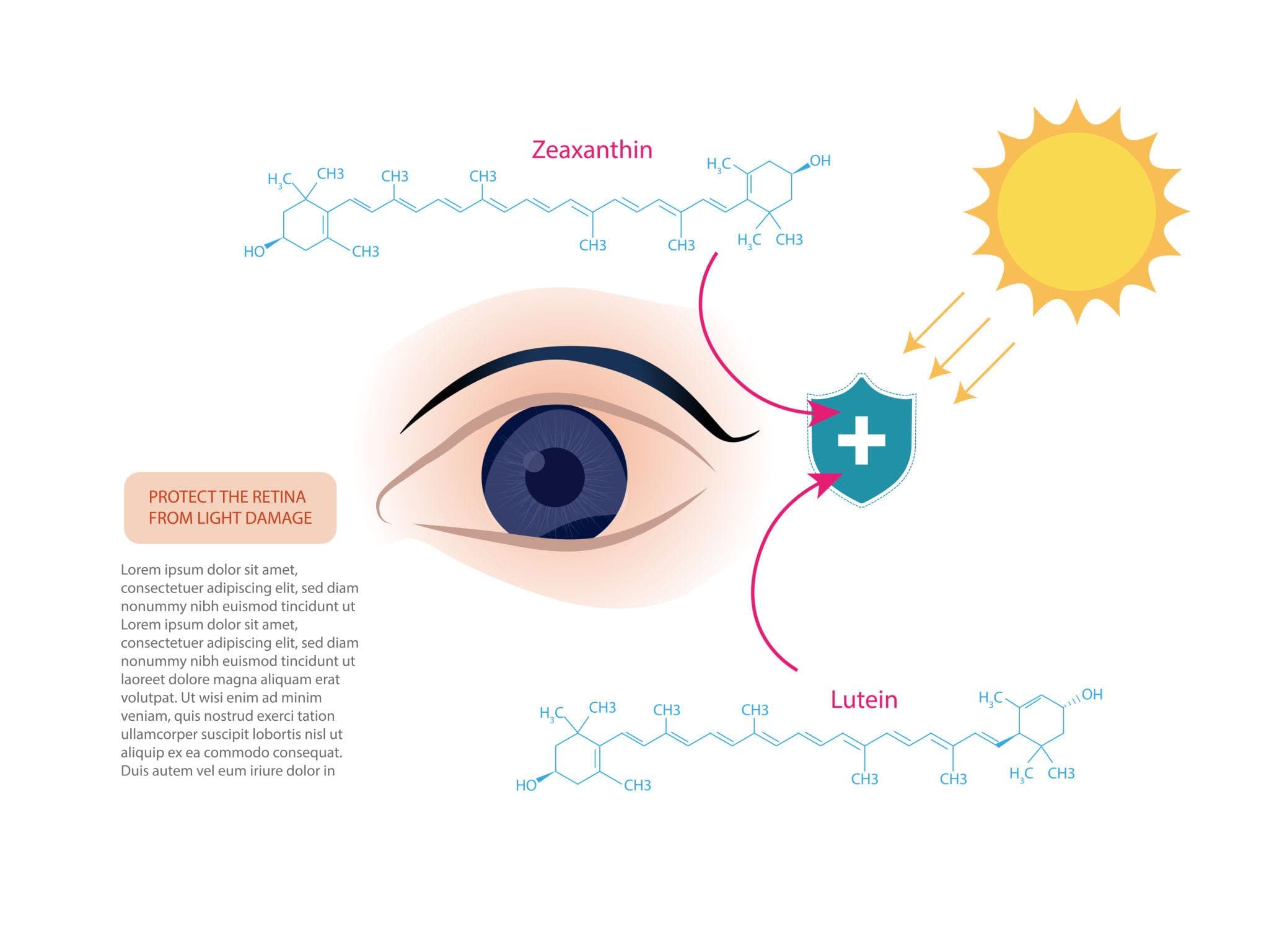 Lutein & Zeaxanthin: “Kính mát” tự nhiên nằm trong võng mạc